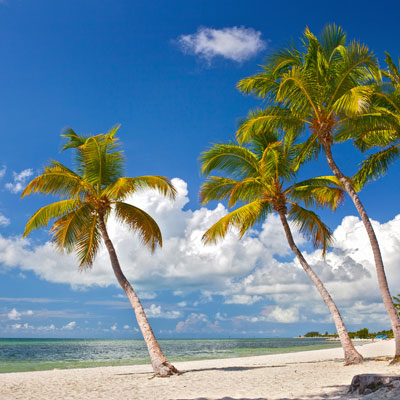 Empty Tropical Beach