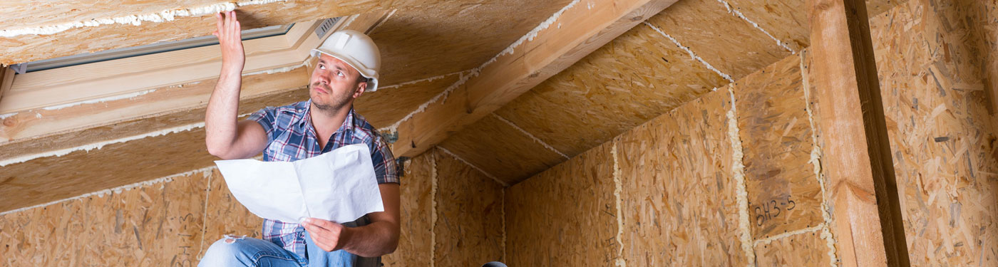 Home Attic Inspection